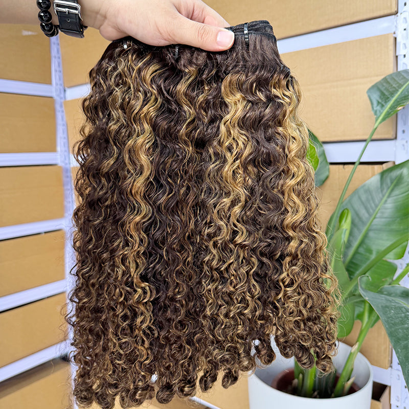 Burmese curly Bundle Virgin Human Hair 4-27 High light Color